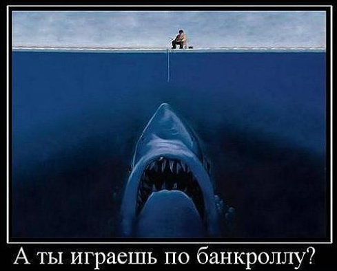 игра в покер, обучение, советы для начинающих, тактика, банкролл, уроки покера, литература, книги о покере